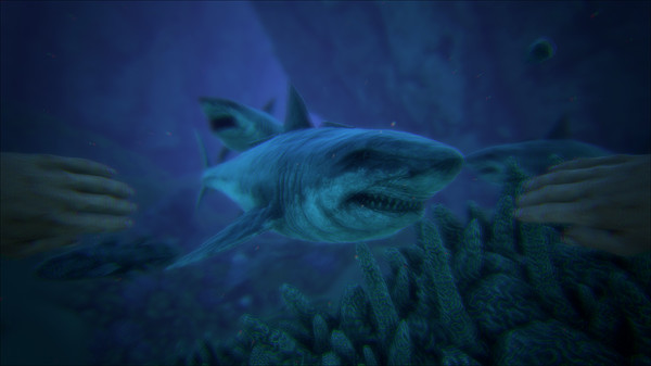ARK ARK